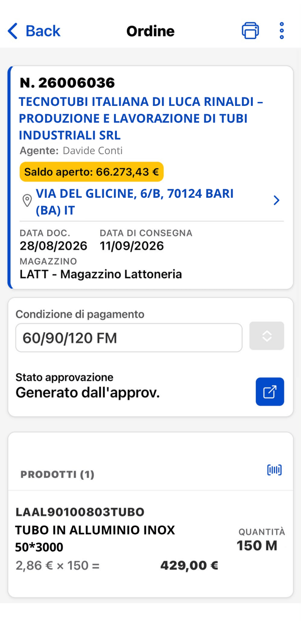 Dettaglio di un ordine con cliente, condizioni di pagamento, magazzino e righe prodotto